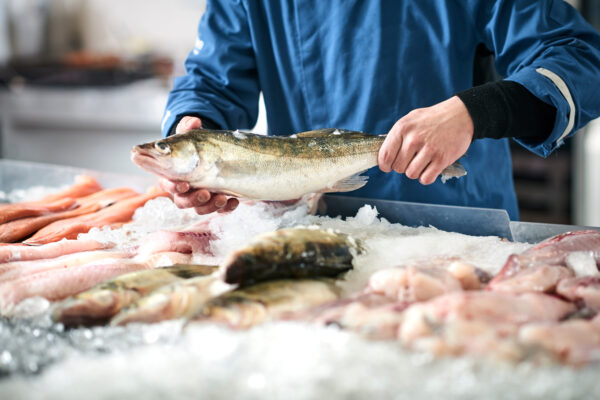 fresh fish in a fishshop fresh fish in a fishshop