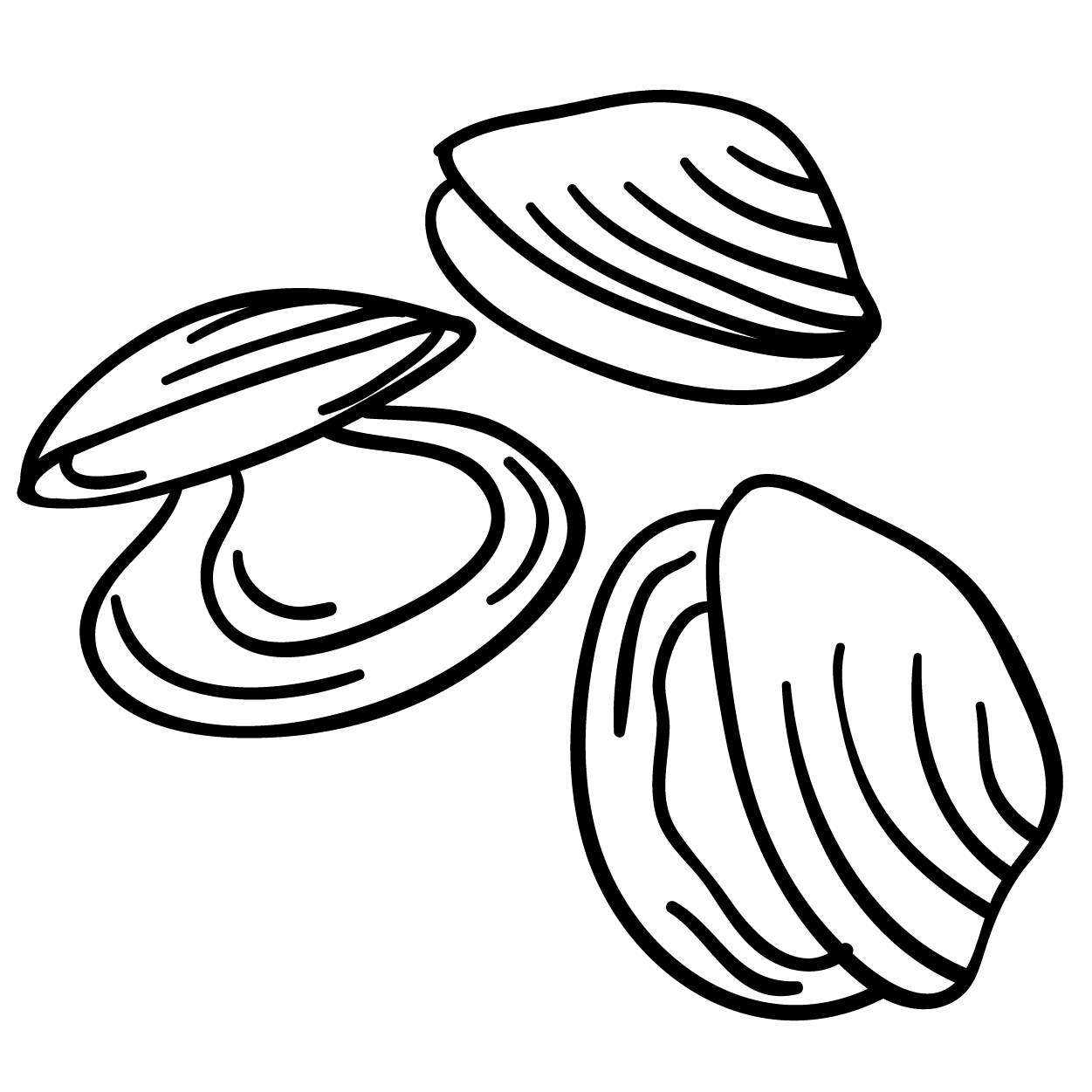 musslor_Svart